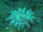 PB250212sss.jpg
