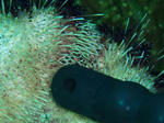 PB250222sss.jpg