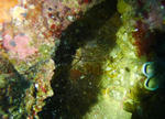 P1020614ssssss.jpg