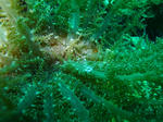 P1020644sss.jpg