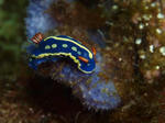 aomizoguto1209.jpg