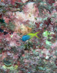 inase1216.jpg