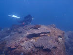 fukuzawasango1216.JPG