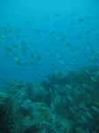 IMG_8476.JPG