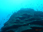 M0017210.JPG