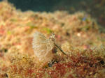 IMG_8557.JPG