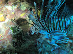 IMG_8337.JPG