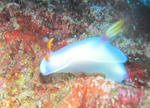 IMG_8821.jpg