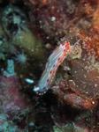 setoiro0209.jpg