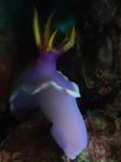P2100034.JPG