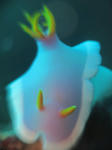 rabenda-211.jpg
