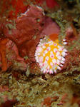 igagurio0226.jpg