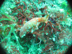 IMG_0278.JPG