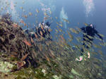nennbutu0806.jpg