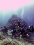 syugounai0806.jpg