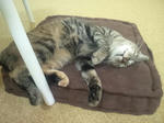 DCF00063.jpg