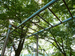 P1010450.jpg