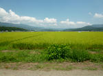 P1010632.jpg