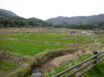 P1020741.jpg