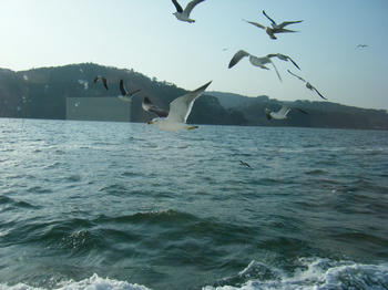 BLOG2008_03180017.JPG