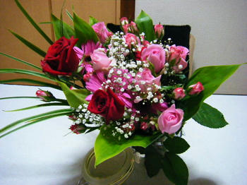 2008_09220005.JPG
