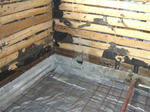 859b516f.JPG