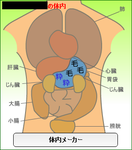 you-tainai1.PNG