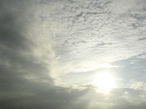 DSCN4440.gif