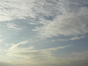 DSCN4443.gif