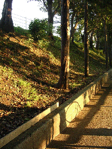 DSCN4491.gif