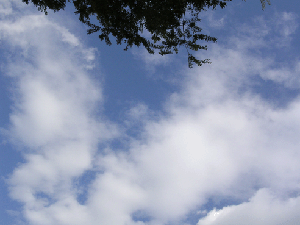DSCN4523.gif