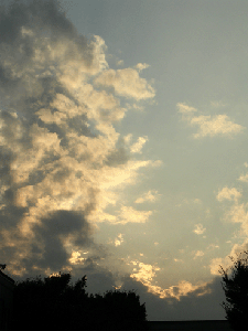 DSCN4525.gif