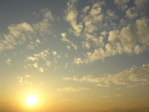 DSCN4657.gif