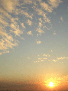 DSCN4671.gif
