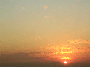 DSCN4680.gif