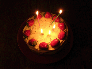 DSCN4719.gif