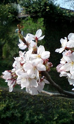 090405_1510~0001.jpg