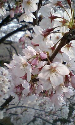 090405_1511~0002.jpg