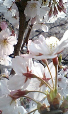 090405_1512~0001.jpg