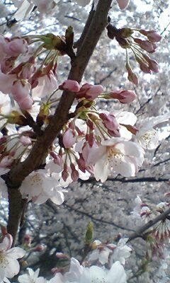 090405_1512~0003.jpg