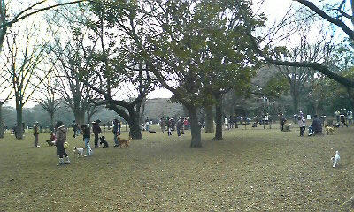 park1.jpg