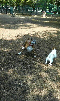 park3.jpg