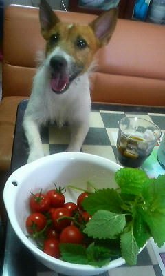 200807121037001.jpg