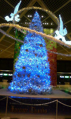 narita081129.jpg