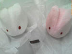 usagi1.jpg
