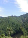 okutama1.jpg