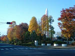 PA0_0113.JPG