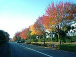 PA0_0114.JPG