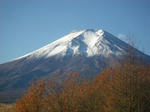hakone1.jpg
