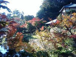 PA0_0004.JPG